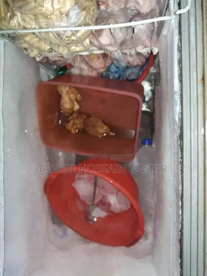 Deep Fridge