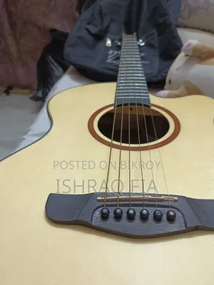 Deviser Guitar