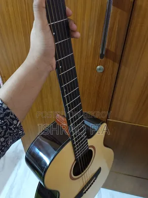 Deviser Guitar