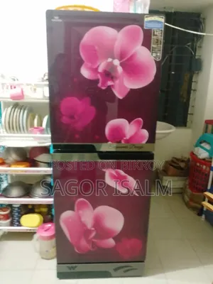 ফ্রিজ ব্যবহৃত