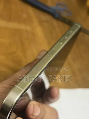 Apple iPhone 16 Pro Max 256 GB