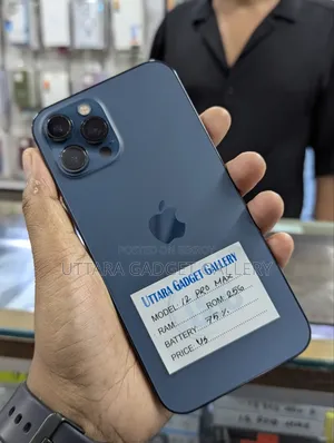 Apple iPhone 12 Pro Max 256 GB Blue