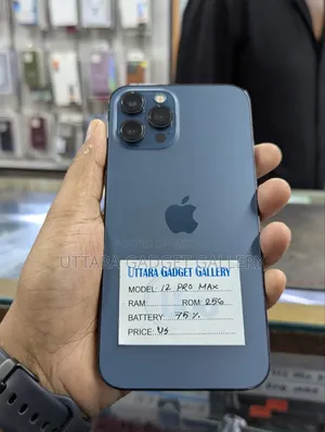 Apple iPhone 12 Pro Max 256 GB Blue