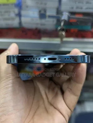 Apple iPhone 12 Pro Max 256 GB Blue
