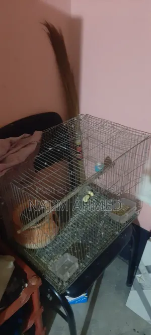 বাজিগর রানিং মেল খাঁচাসহ