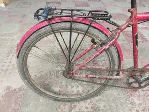 None Gear by Cycle