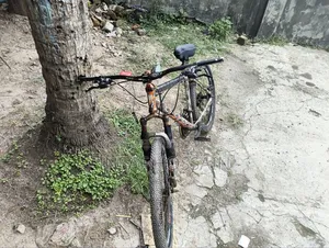 গিয়ার সাইকেল