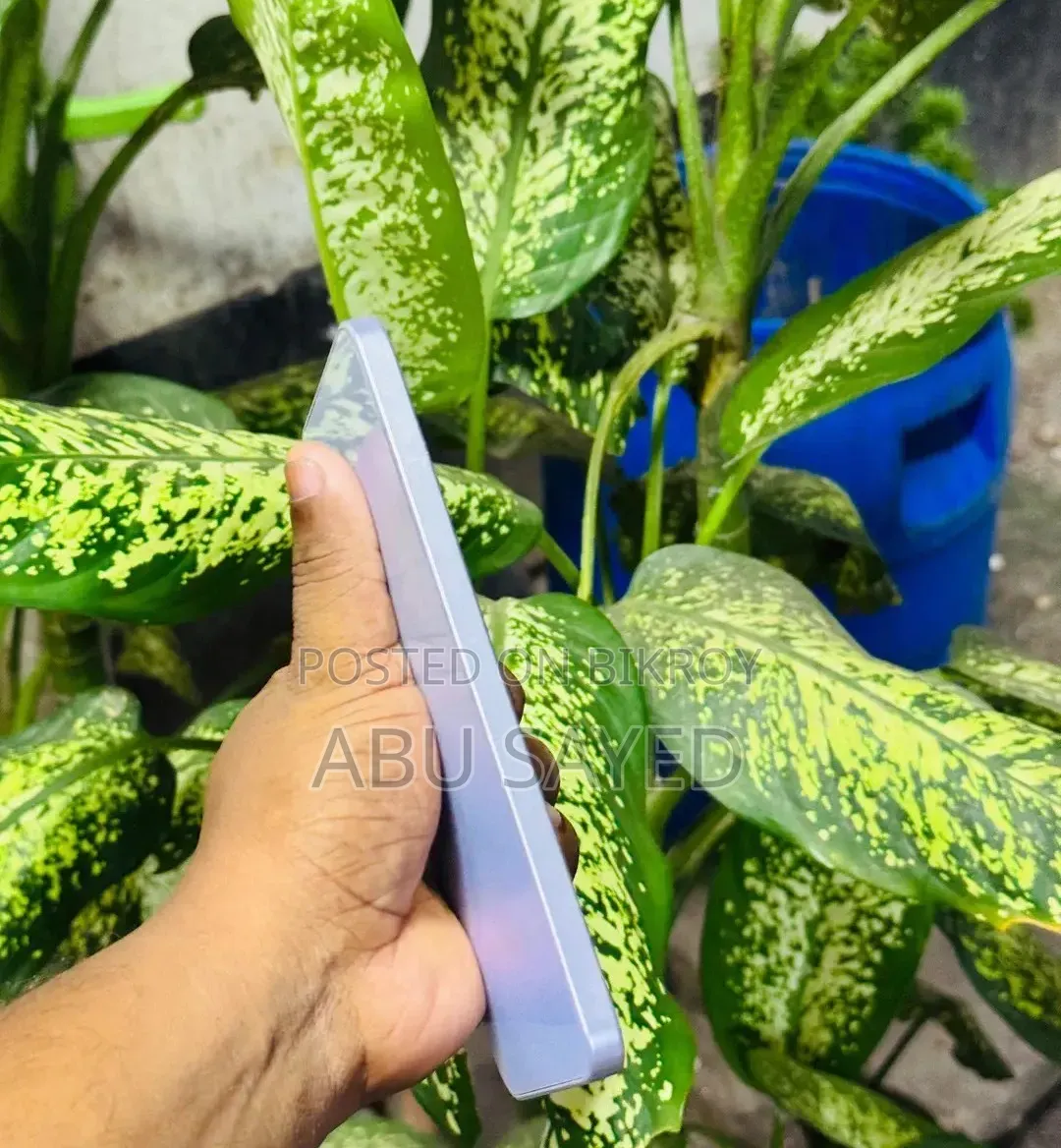 Samsung Galaxy A36 256 GB