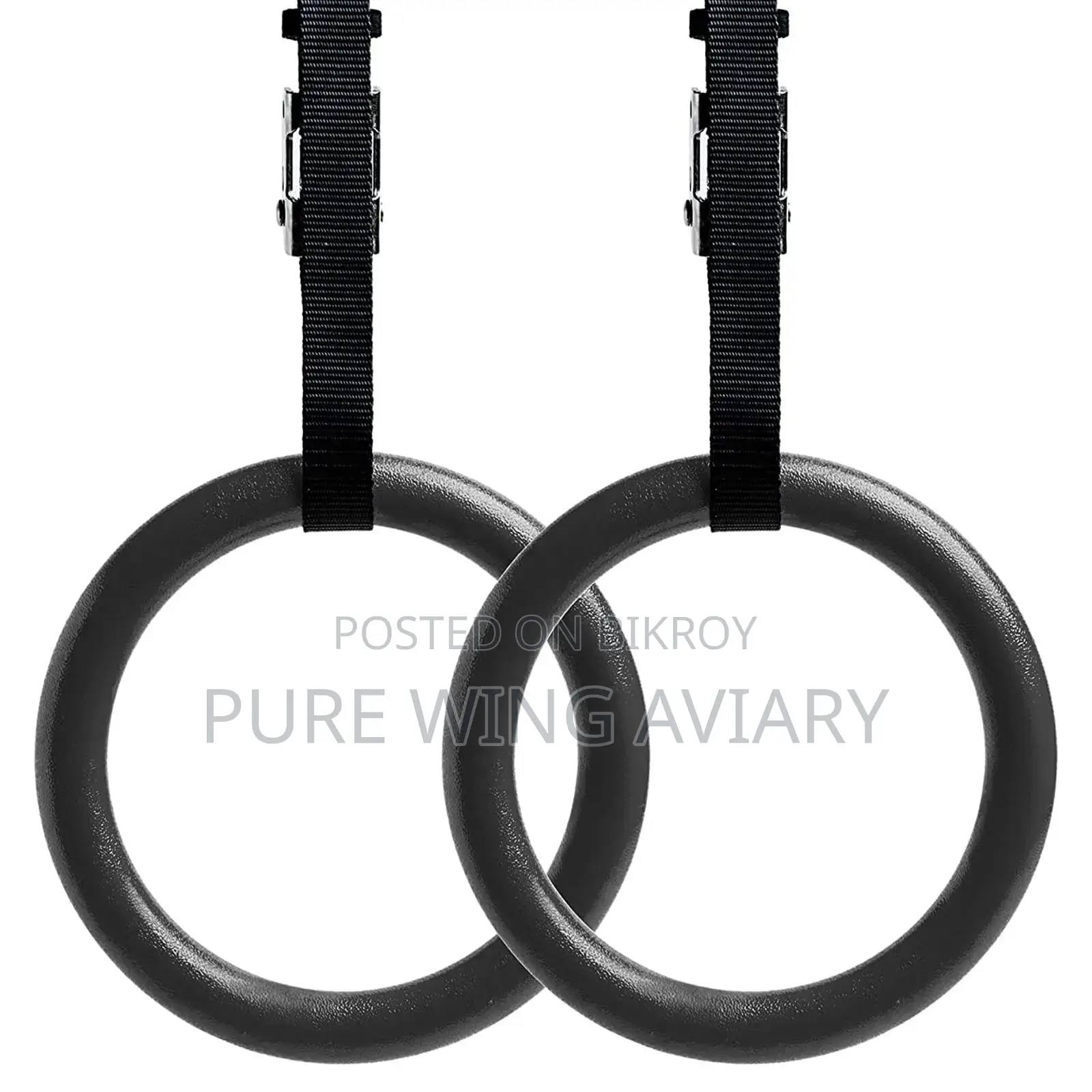 Fresh Premium Gymnastic Rings (Best for Calisthenics Workout)