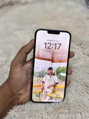 Apple iPhone 13 Pro Max 256 GB Gray
