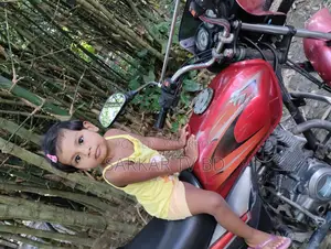 Bajaj Platina 100 2015 Red