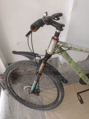 কোন সমস্যা নাই সবকিছু ঠিক আছে
