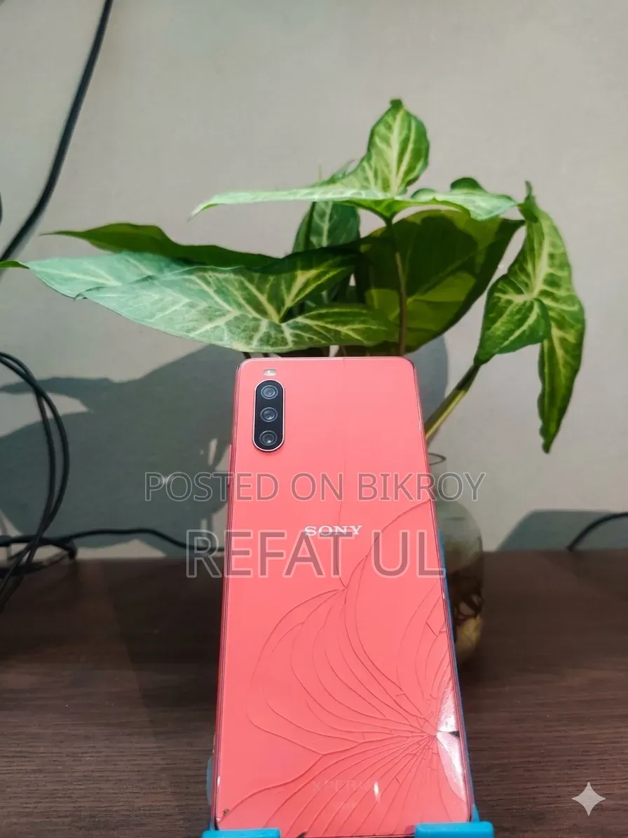 সনি এক্সপেরিয়া ১০ ৩ ১২৮ জিবি পিঙ্ক