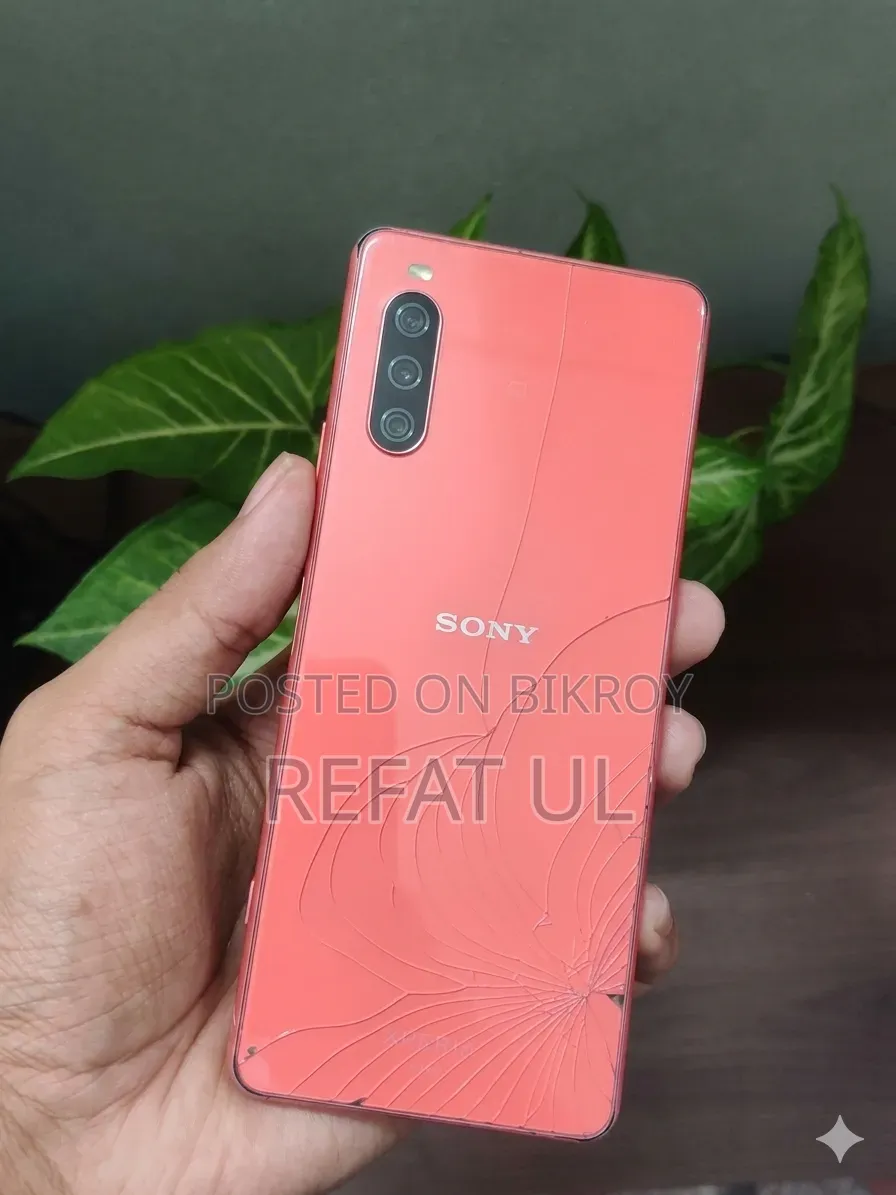 সনি এক্সপেরিয়া ১০ ৩ ১২৮ জিবি পিঙ্ক