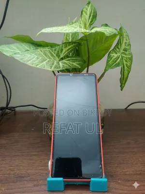 সনি এক্সপেরিয়া ১০ ৩ ১২৮ জিবি পিঙ্ক