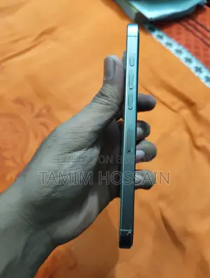 Apple iPhone 16 Pro Max 256 GB Silver