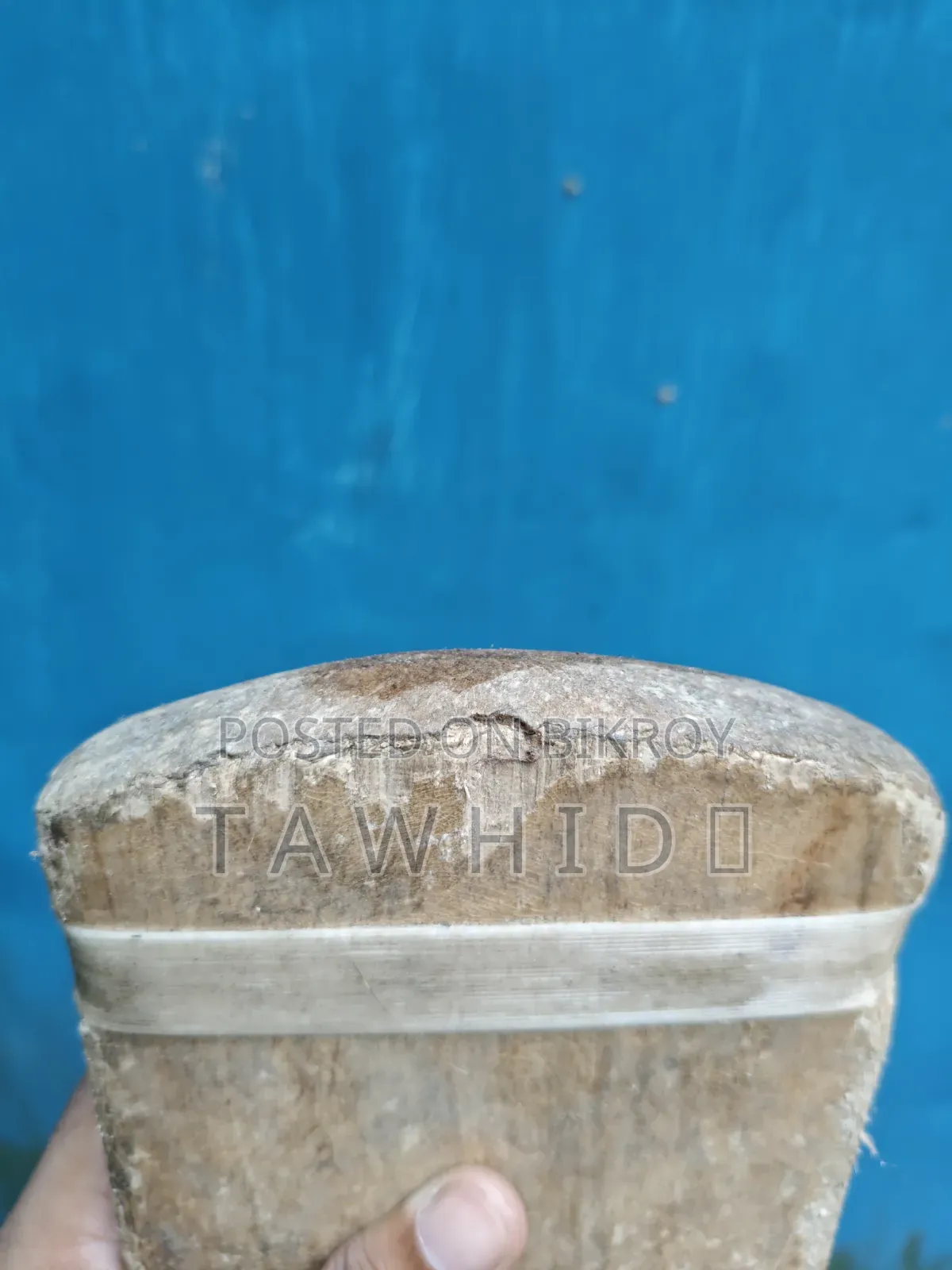 Ca Gold Coconut Bat
