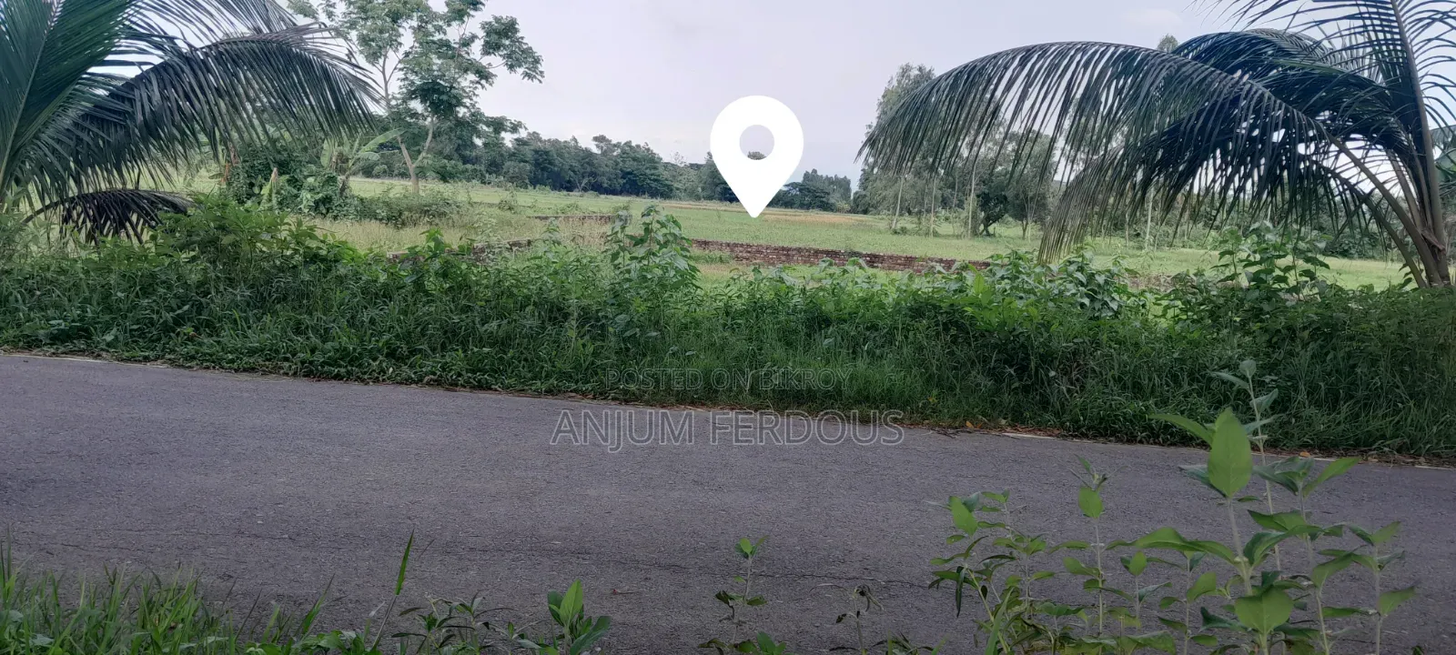 Land for sale, nine (9) gonda