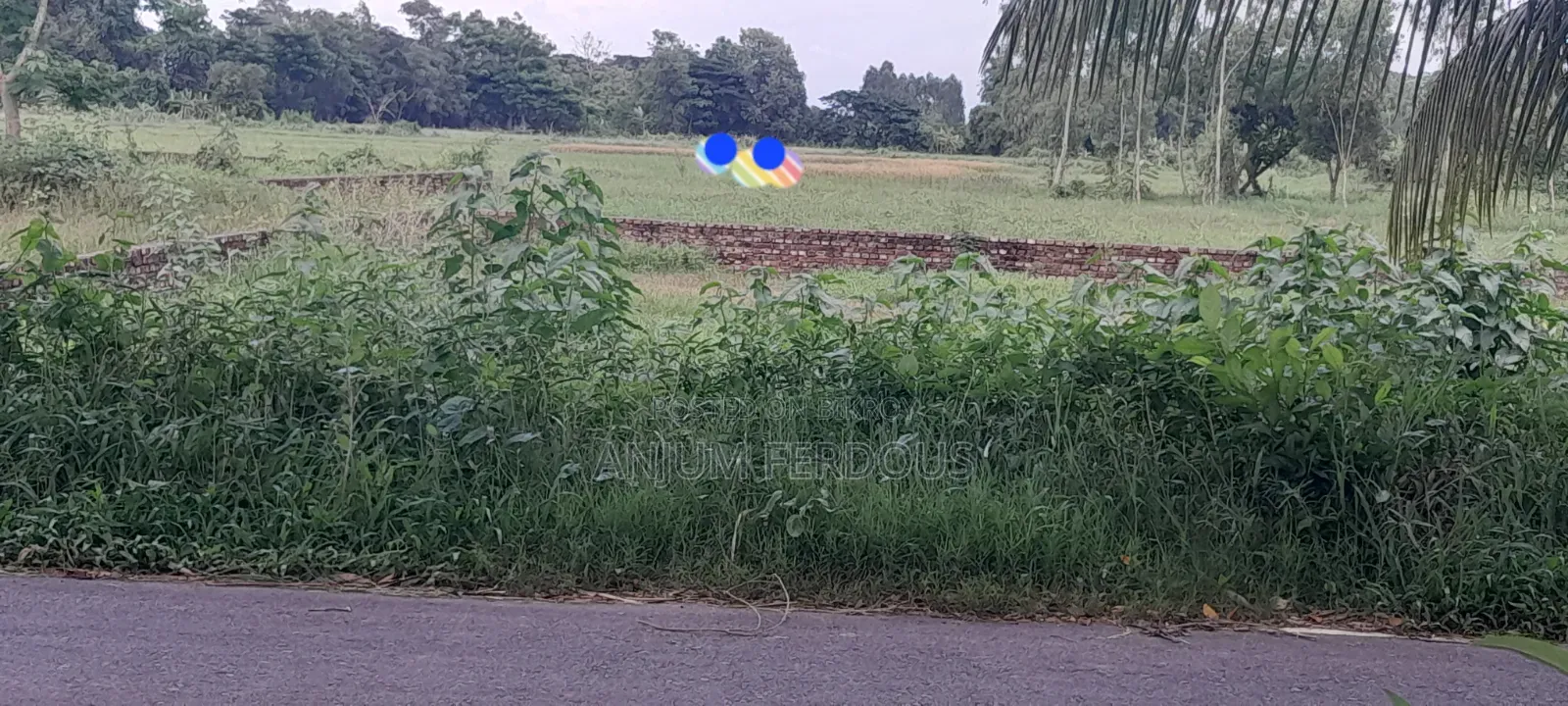 Land for sale, nine (9) gonda