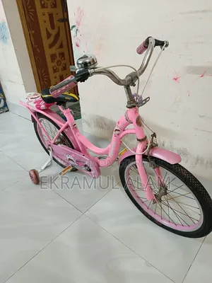 লেডিস সাইকেল
