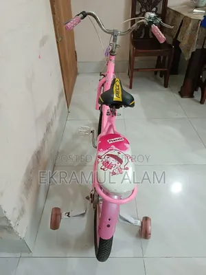 লেডিস সাইকেল