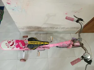 লেডিস সাইকেল