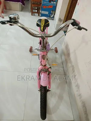 লেডিস সাইকেল