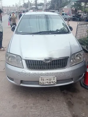 Toyota Corolla Fielder 2004 Silver