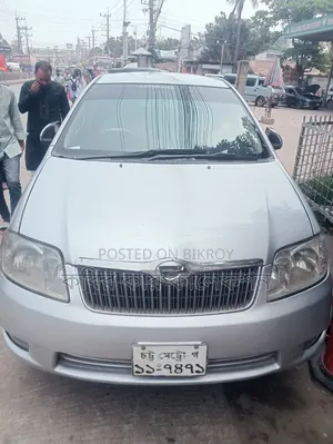 Toyota Corolla Fielder 2004 Silver