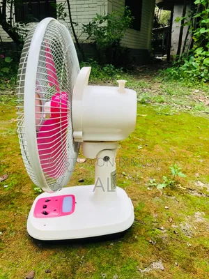 Rechargeable Fan