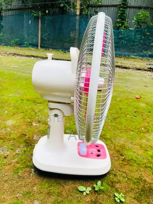 Rechargeable Fan