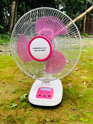 Rechargeable Fan