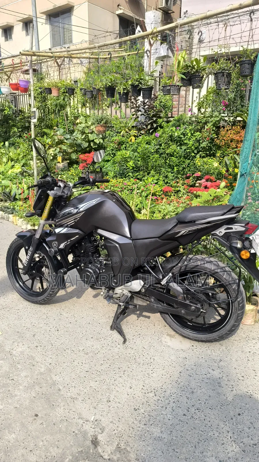 Yamaha FZ6 2024 Black