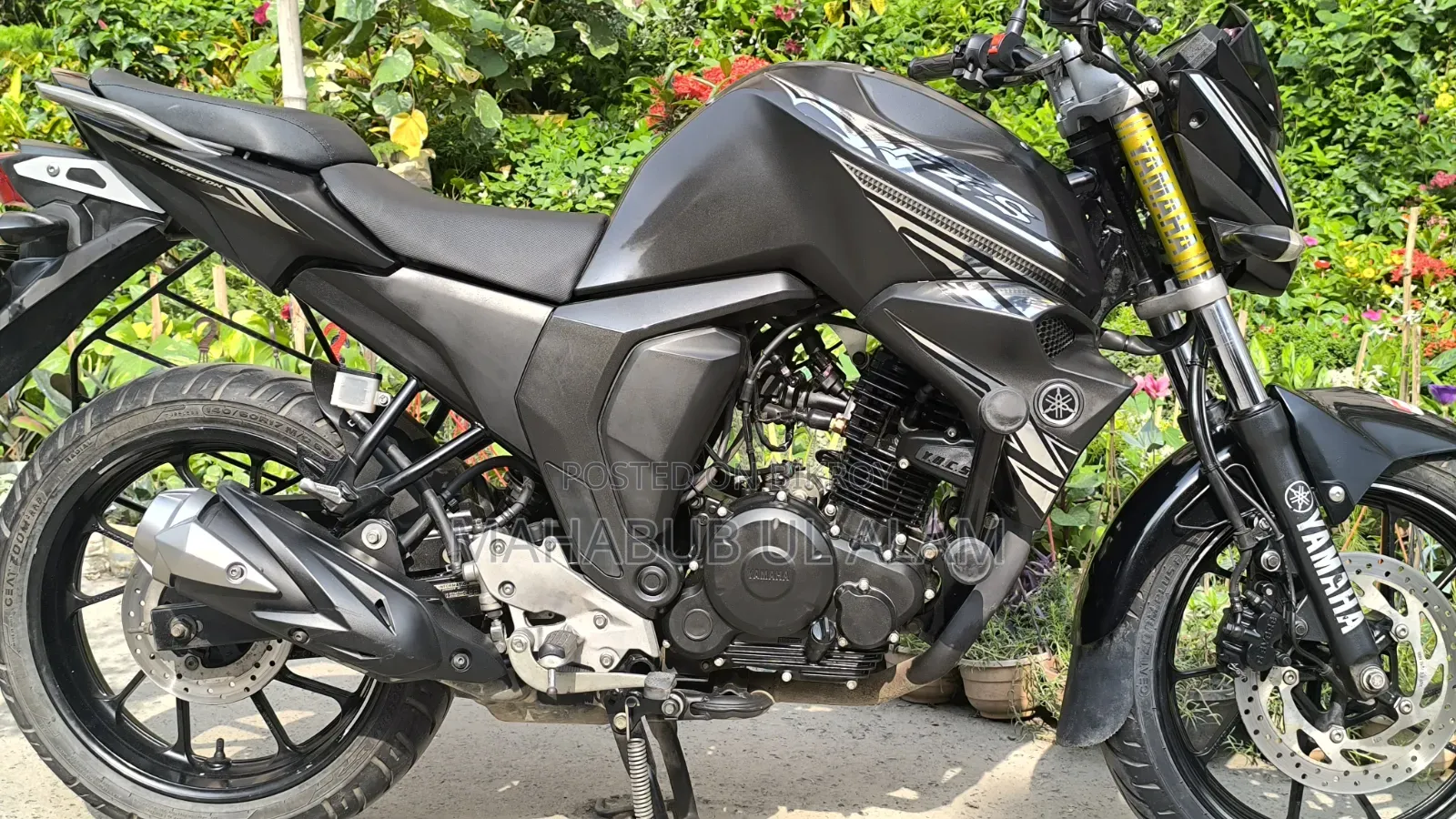 Yamaha FZ6 2024 Black