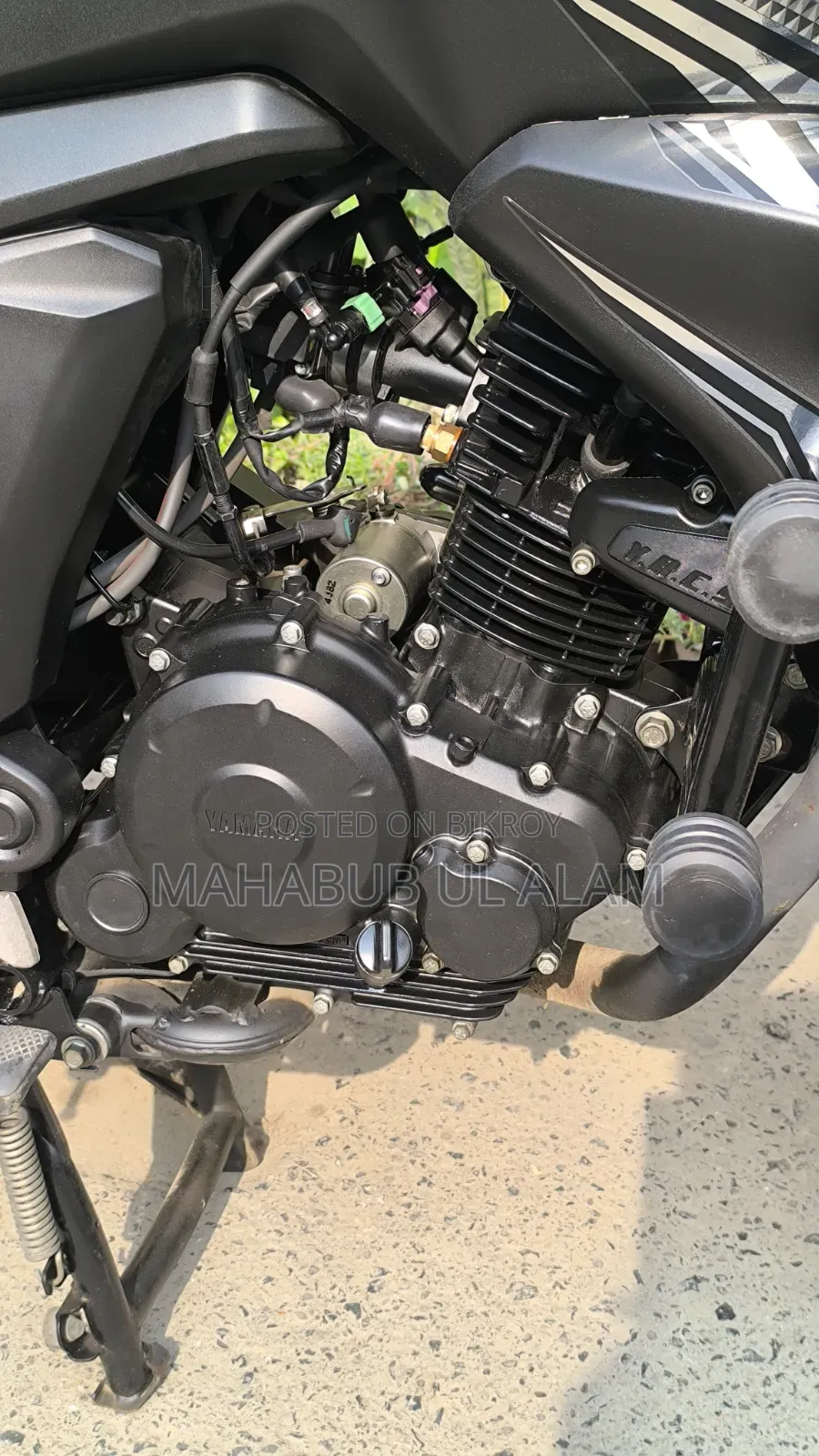Yamaha FZ6 2024 Black