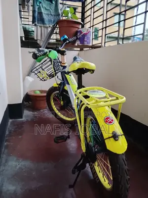 অরিজিনাল ইন্ডিয়ান বাইসাইকেল (বচ্চাদের)