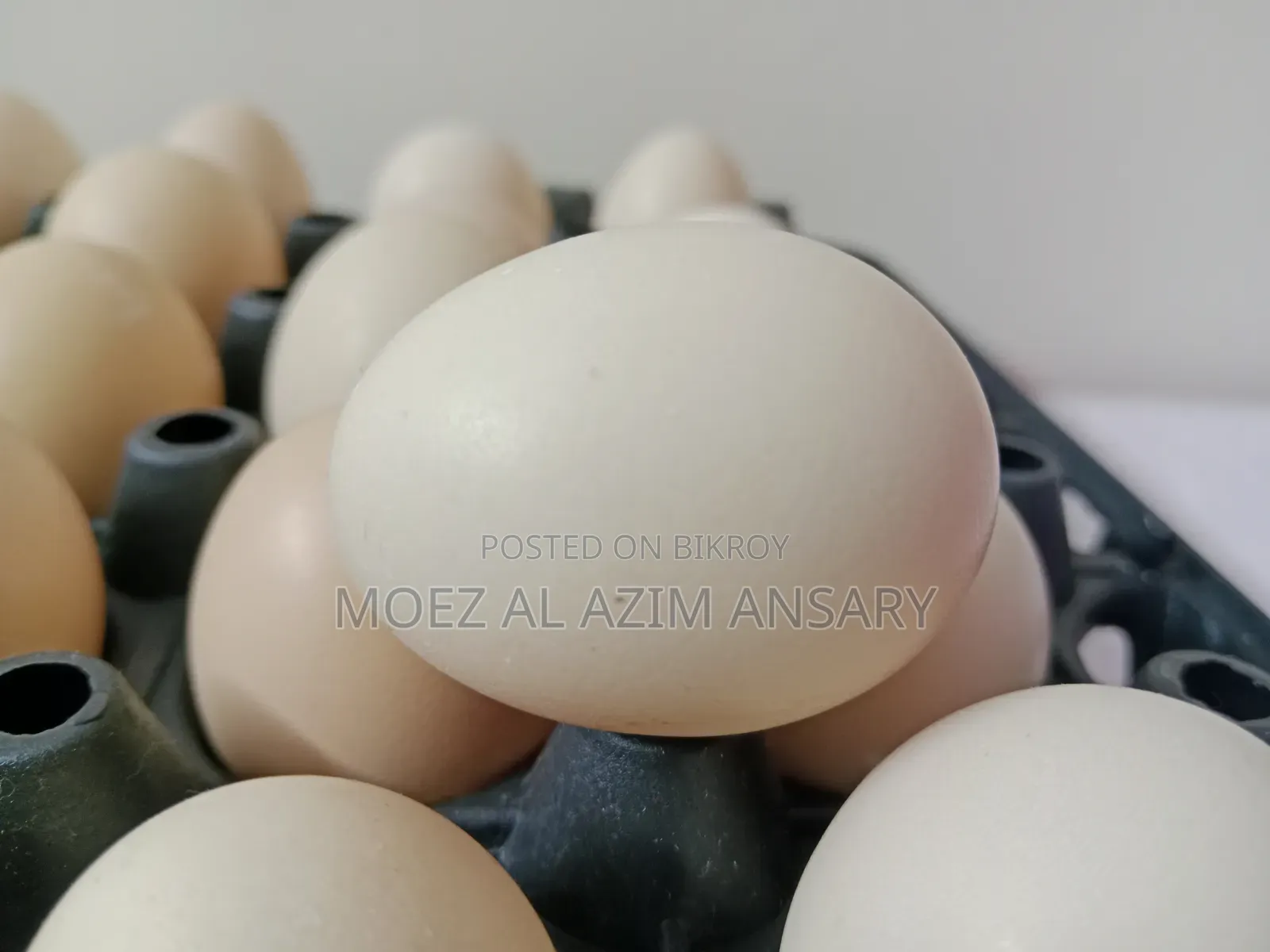 Desi Chicken Eggs