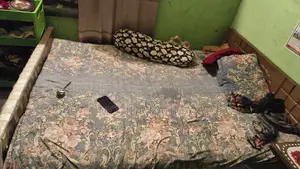 Bed (with mattress)