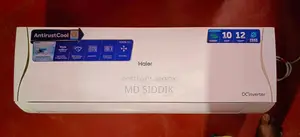 Haier 1.5 Ton AntirustCool DC Inverter AC