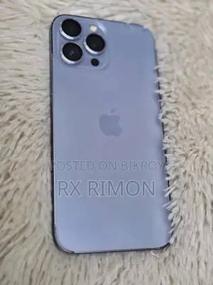 Apple iPhone 13 Pro Max 256 GB Gray