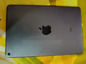 Apple iPad mini 5 64 GB Gray