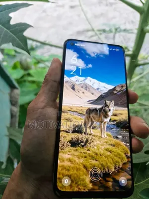 Oppo Reno 128 GB Silver