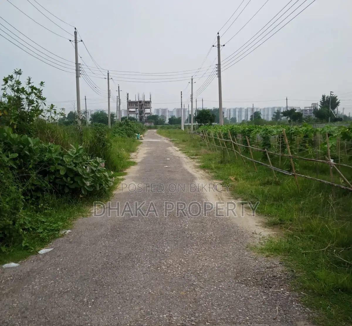 60ft Road 5 Katha Lake North At Sector-16/C