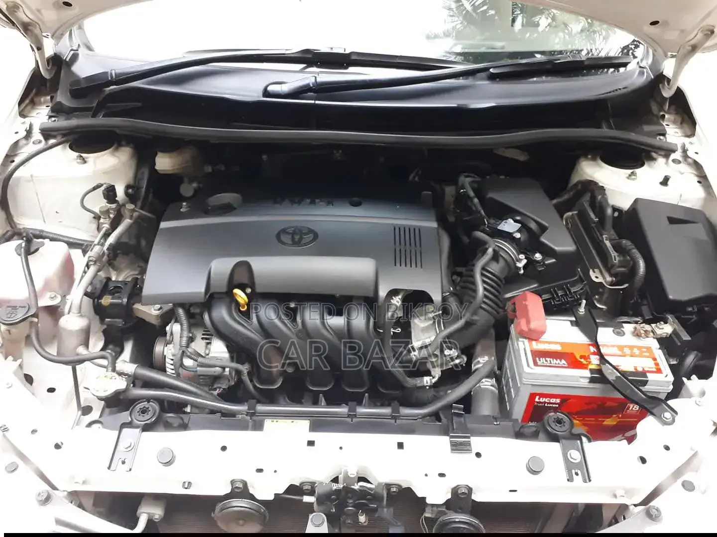 Toyota Axio 2011 White
