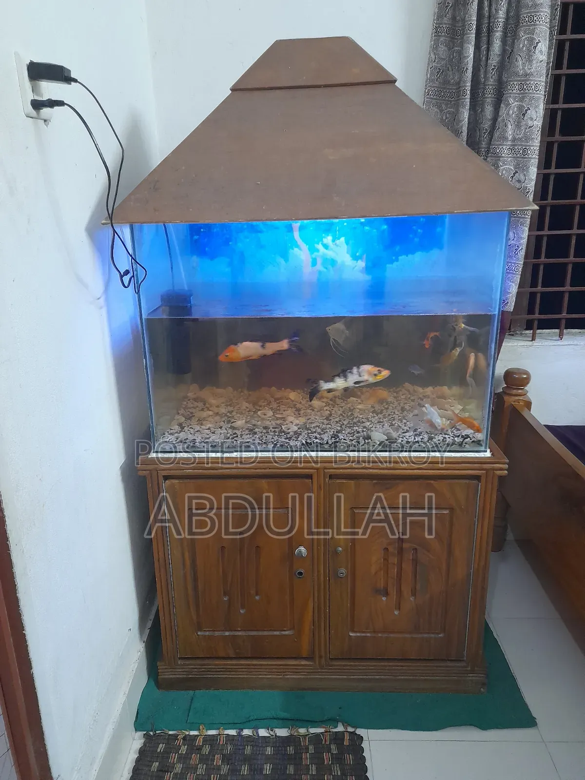 A large sized aquarium.