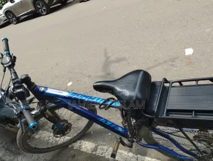 Electric Cycle