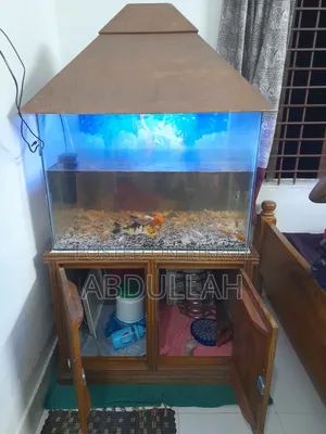 A large sized aquarium.