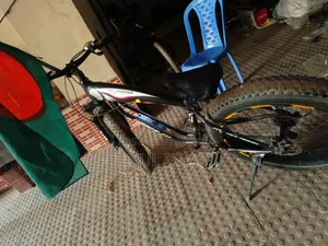 Fat Bicycle
