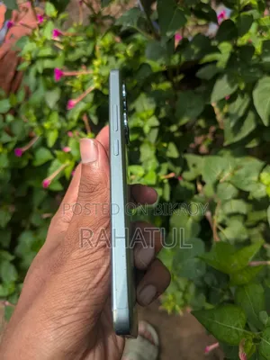 Xiaomi 256 GB Bronze