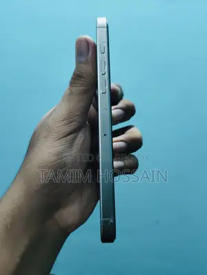 Apple iPhone 16 Pro Max 256 GB Silver
